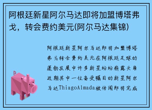 阿根廷新星阿尔马达即将加盟博塔弗戈，转会费约美元(阿尔马达集锦)