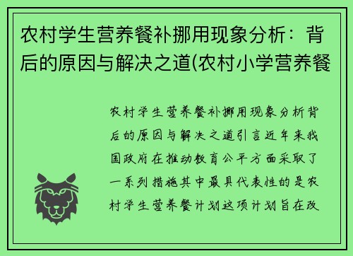 农村学生营养餐补挪用现象分析：背后的原因与解决之道(农村小学营养餐补助)