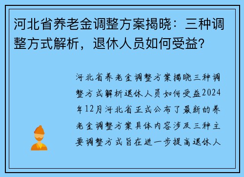 河北省养老金调整方案揭晓：三种调整方式解析，退休人员如何受益？